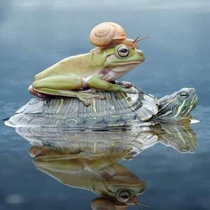 Meet your Posher, Cassandra